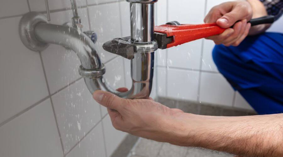 Professional Leak Detection services in Speedwell, TN
